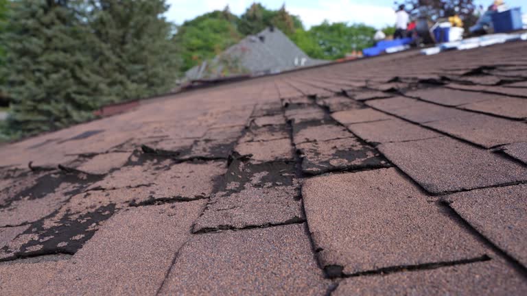 Best Asphalt Shingles Roofing  in Sage, CA
